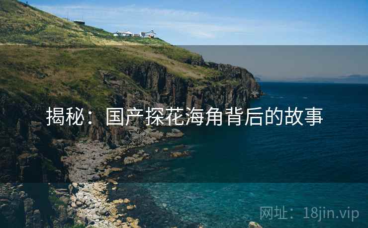 揭秘：国产探花海角背后的故事
