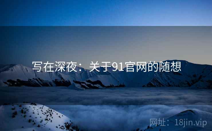 写在深夜：关于91官网的随想