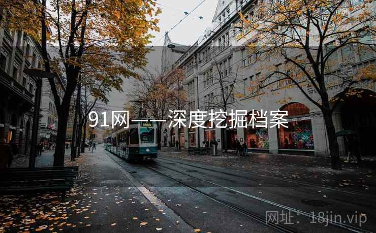 91网——深度挖掘档案