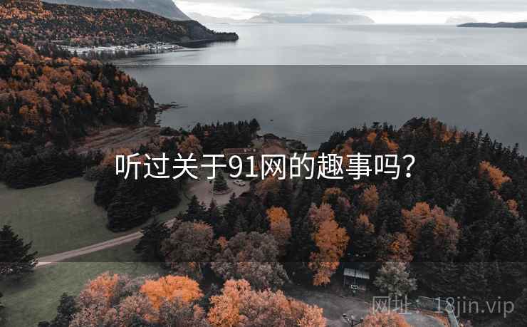 听过关于91网的趣事吗？