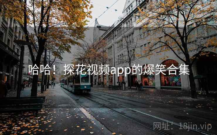 哈哈！探花视频app的爆笑合集
